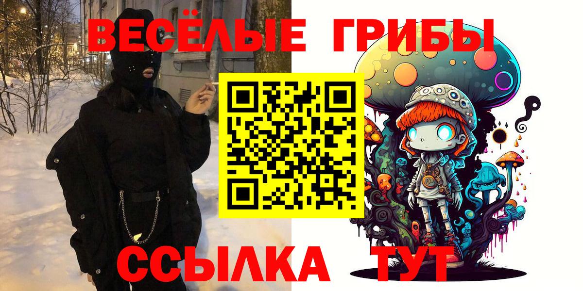 Кашира  Галлюциногенные грибы Psilocybine cubensis  Вход с VPN 